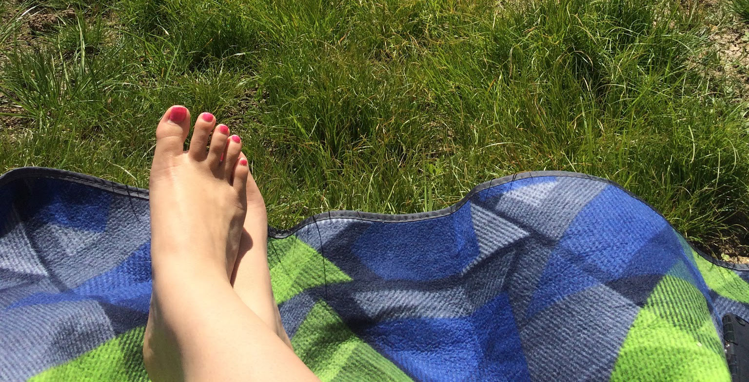 Picnic on the grass